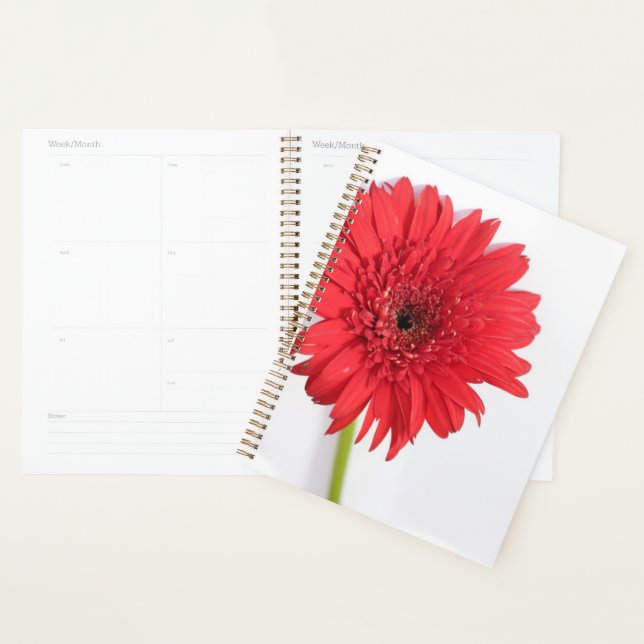 Rouge Chrysanthème Pétales Fleur Floral (Devant avec enveloppe)
