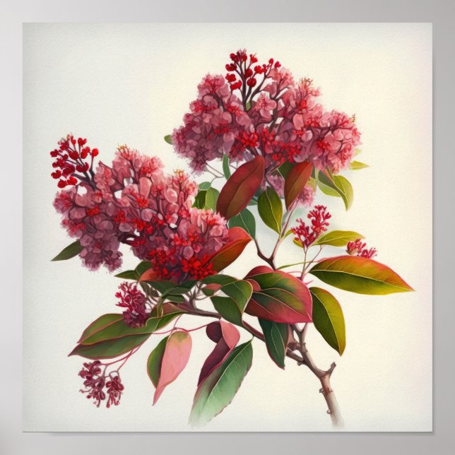 Rouge Crepe Myrtle Fleurs Art Imprimer Poster (Devant)