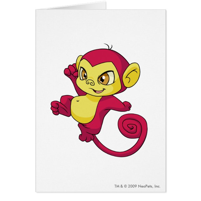 Rouge de Mynci (Devant)