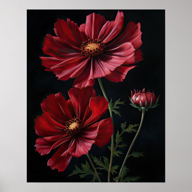 Rouge Fleurs Cosmos Art Imprimer Poster (Devant)