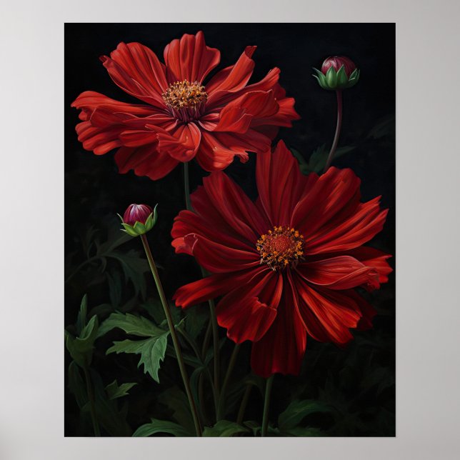 Rouge Fleurs Cosmos Art Imprimer Poster (Devant)