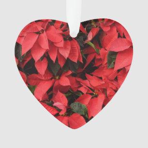 Rouge Poinsettias II Noël Fête Florale