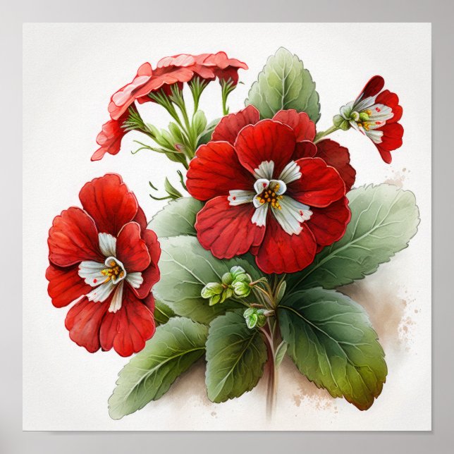 Rouge Primrose Fleurs Art Affiche d'impression (Devant)