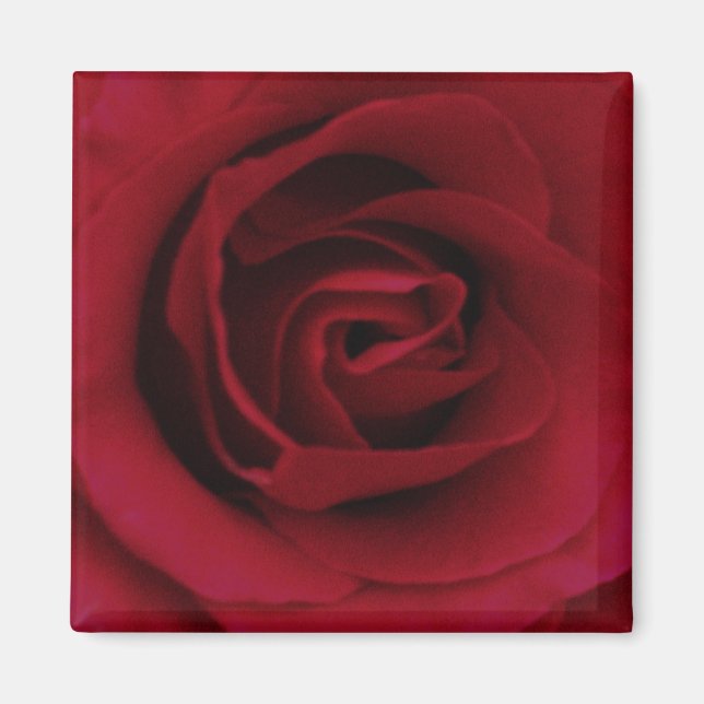 Rouge Rose Magnet (Devant)