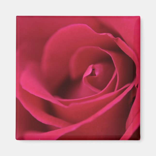 Rouge Rose Magnet (Devant)
