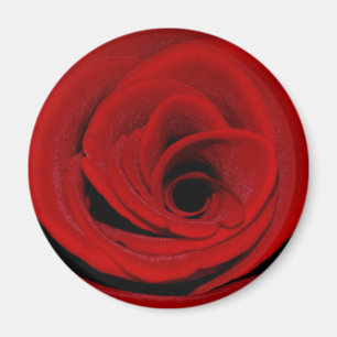 Rouge Rose Magnet