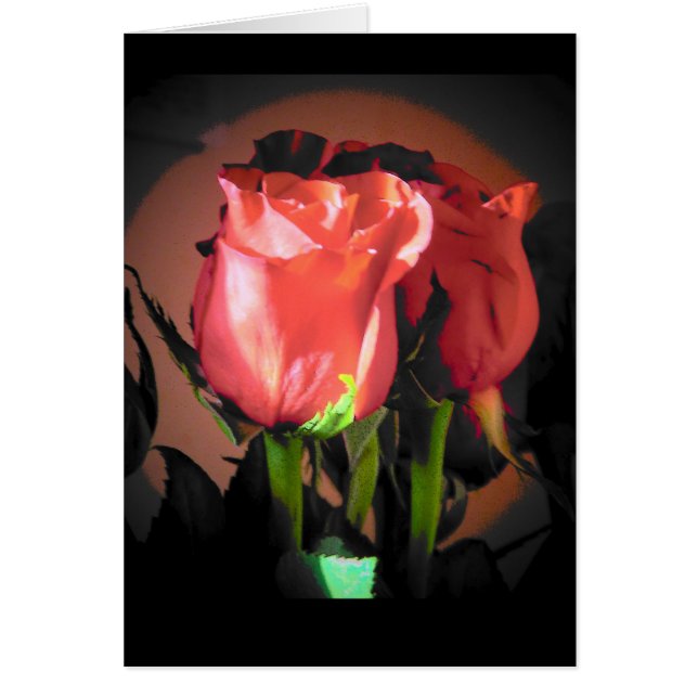 Rouge Rose Noir Arrière-Plan Votre Texte (Devant)