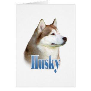 Rouge Sibérien Husky Nom