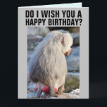 ROUGE SWOLLEN MONKEY BUTT FUNNY GROS CARTES<br><div class="desc">VOUS SOUHAITE-JE UN JOLI ANNIVERSAIRE ? UN BABOON EST-IL ROUGE ET SUCRÉ ? OUI ET OUI ! JEUX ANNIVERSAIRE ! UNE CARTE QU'ILS CONSERVERONT POUR TOUJOURS.</div>