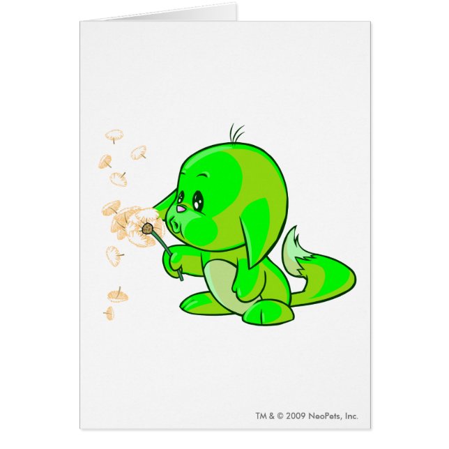 Rougeoyer de Kacheek (Devant)