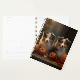 Rough Collie chiot Automne Délice Citrouille