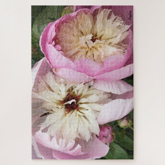 Rougissent les pivoines roses puzzle de 1000 (Vertical)