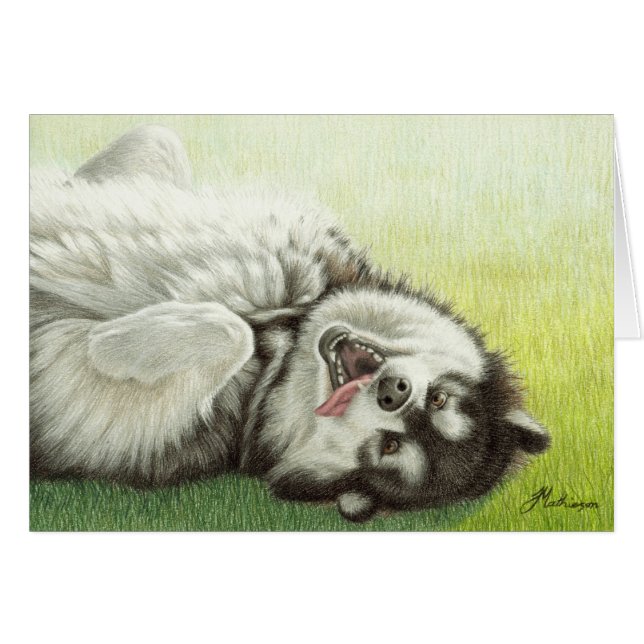 Roulement de Malamute d'Alaska (Devant horizontal)