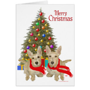Roulette écossaise Terrier Chirstmas