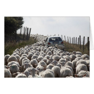 route agricole toscane, voiture bloquée par le tro
