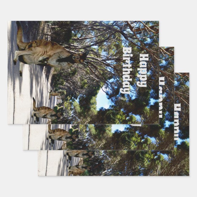 Route australienne des wallabies, feuilles de papi (Lot)