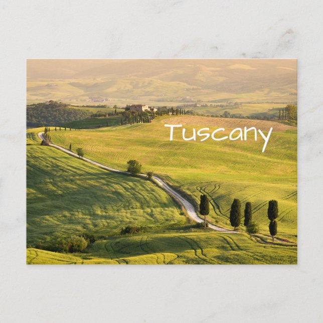 Route blanche dans le paysage toscan carte postale (Devant)
