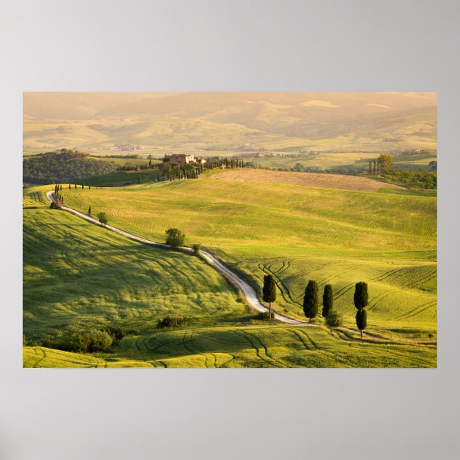 Route blanche dans une affiche de paysage toscan (Devant)