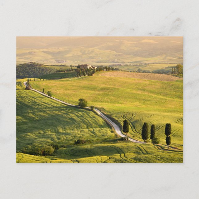 Route blanche en Toscane carte postale (Devant)