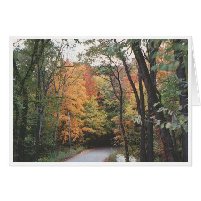 Route d'automne (Devant horizontal)