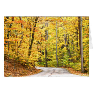 Route d'automne