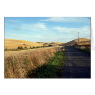 Route de campagne