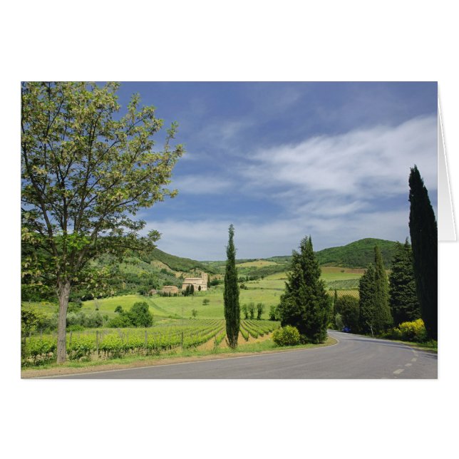 Route de campagne courbée entre cyprès dans (Devant horizontal)