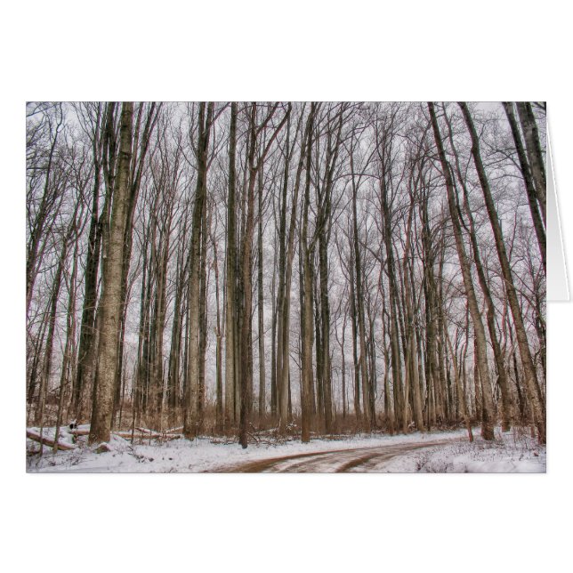 Route de campagne dans Snowy Woods (Devant horizontal)