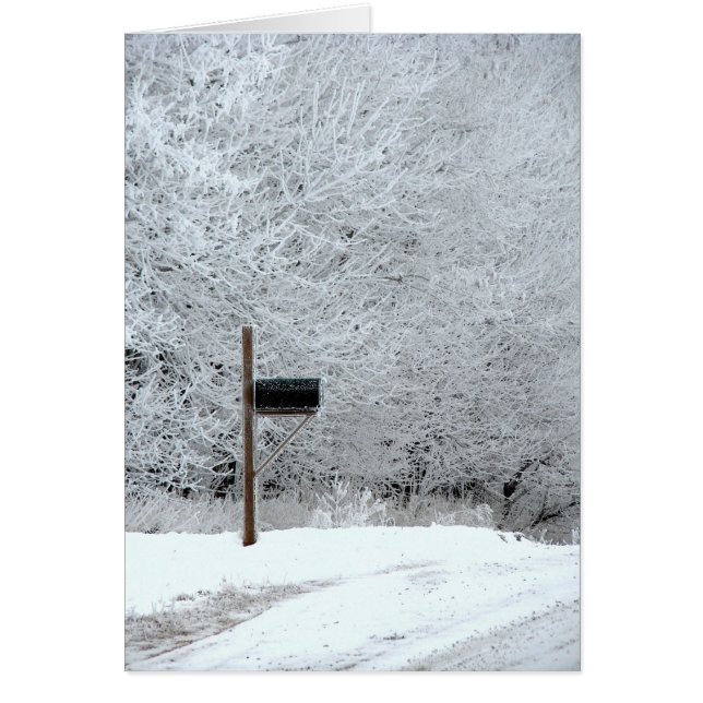 Route de campagne du matin d'hiver gelé (Devant)