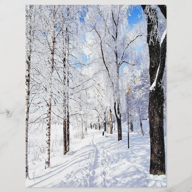 Route de neige (Devant)