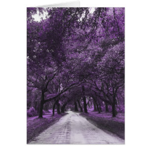 route de santee