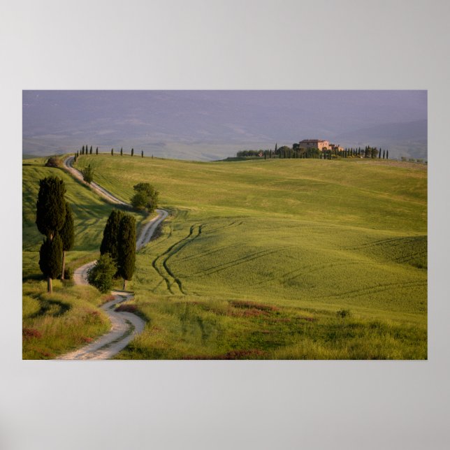 Route de Terrapille en Toscane affiche (Devant)