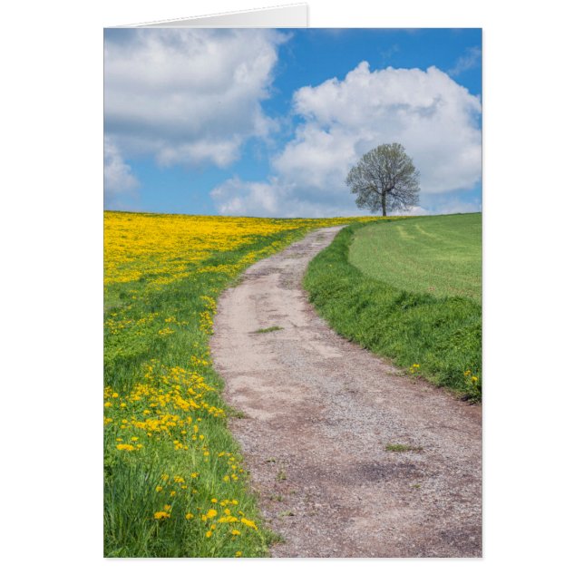 Route de terre et arbre (Devant)