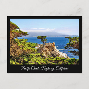 ROUTE DU PACIFIQUE CALIFORNIE CARTE POSTALE