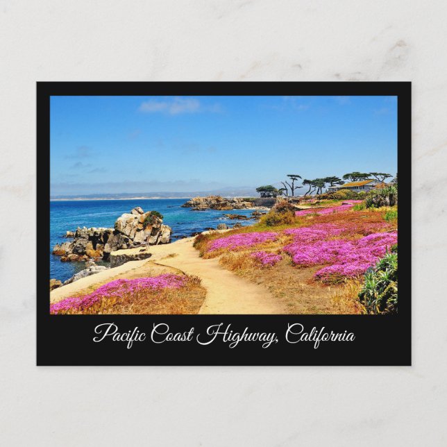 ROUTE DU PACIFIQUE CALIFORNIE CARTE POSTALE (Devant)