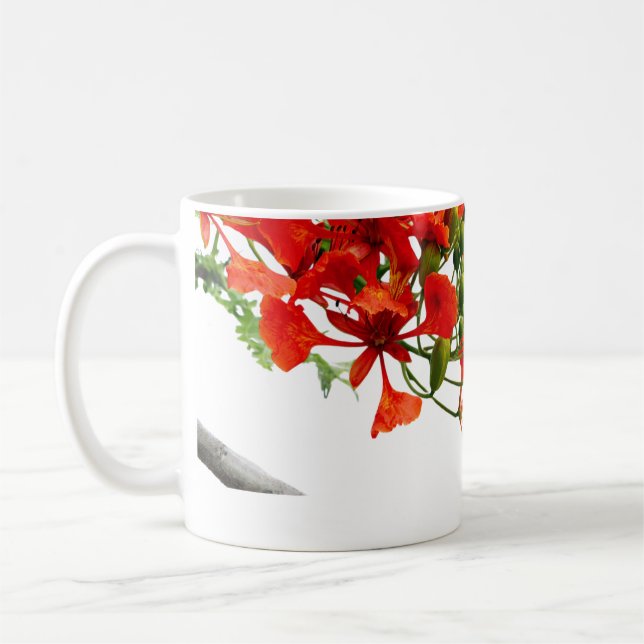Royal Poinciana,Gulmohar Floral Classic Mug  (Gauche)