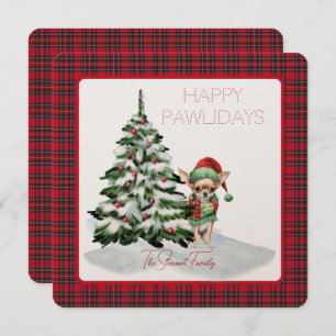 Royal Stewart Tartan Happy Pawlidays Chien