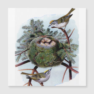 royaume à couronne dorée