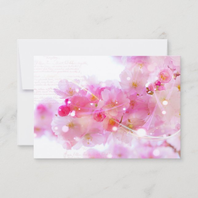 RSVP Elegant Pastel Pink Cherry Blossoms (Devant)