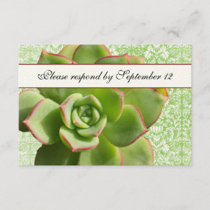 Rsvp ivoire de Damas Vintages succulentes vertes