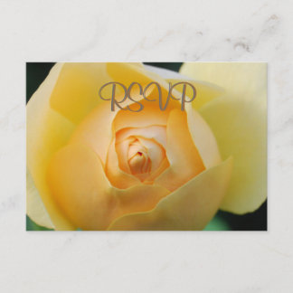 RSVP Rose jaune