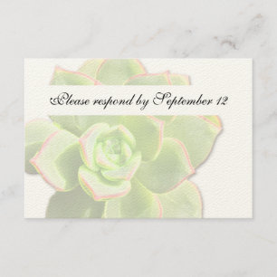 Rsvp vintage succulent vert translucide