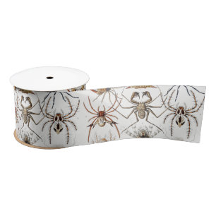 Ruban En Satin Academia Noire Haeckel Vintage Araignée Symétrie A
