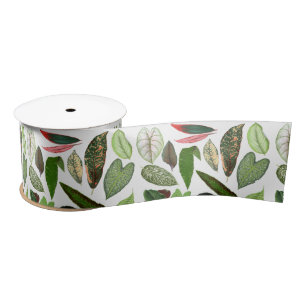 Ruban En Satin Aquarelle botanique Vintage verdure Feuilles