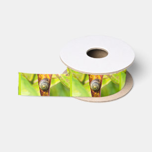 Ruban En Satin attache calme ruban de satin