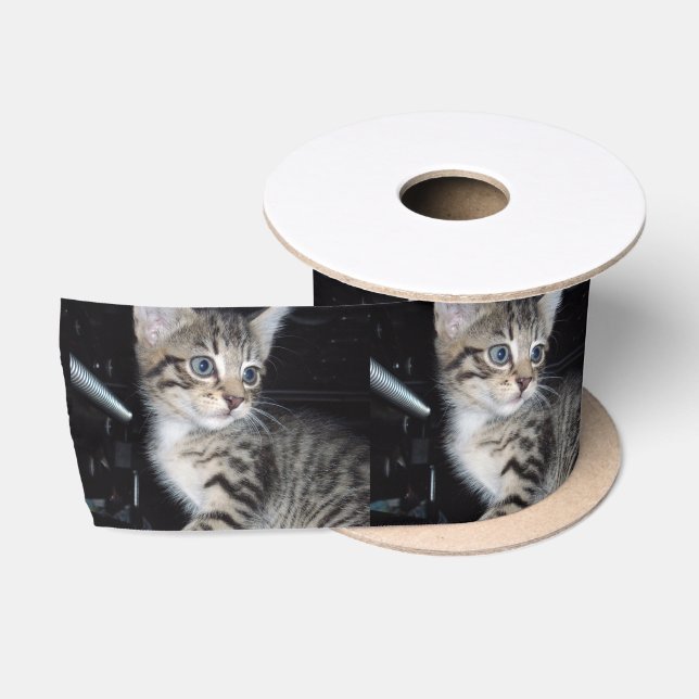 Ruban En Satin Attention Au Kitten, (Bobine)