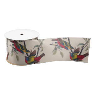 Ruban En Satin Audubon Peint Bunting Bird Wildlife