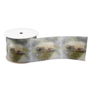 Ruban En Satin autruche