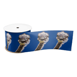 Ruban En Satin Autruche heureuse