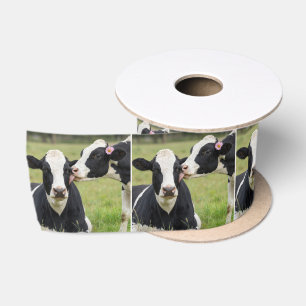 Ruban En Satin Baiser de vache Holstein